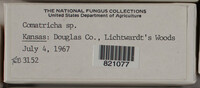 Image Associated With the Occurence